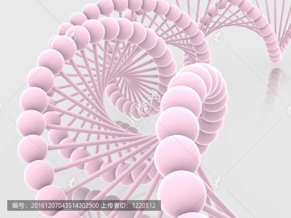 基因在DNA