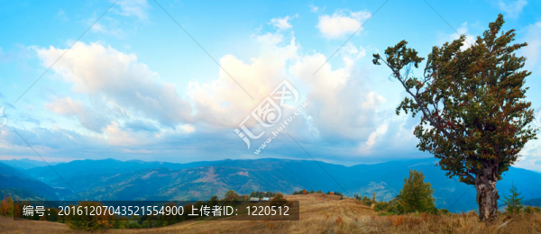 晨山全景