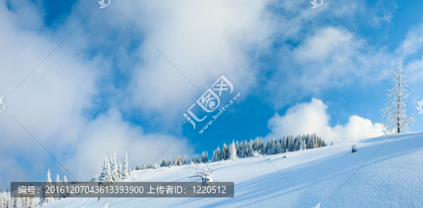 冬山全景