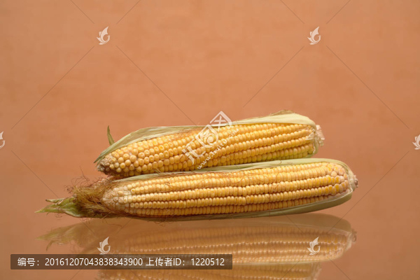 玉米原料