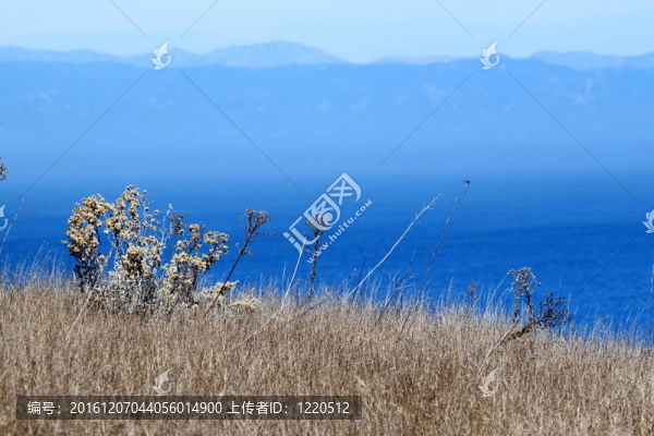 圣克魯斯島