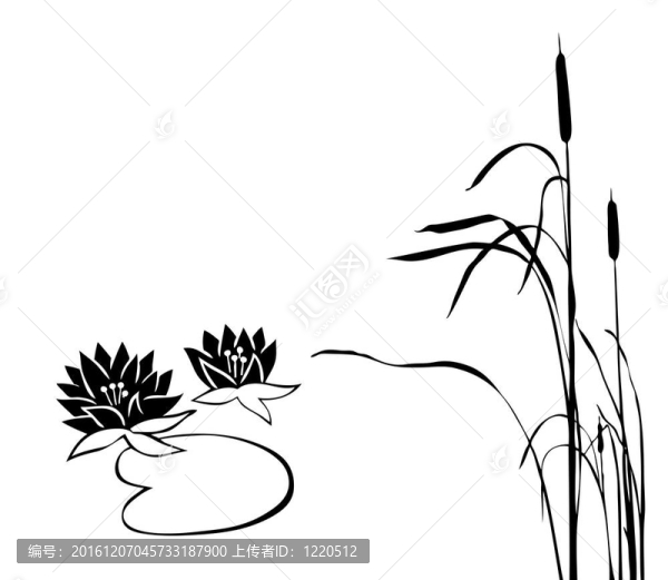 白色背景沼澤植物的剪影