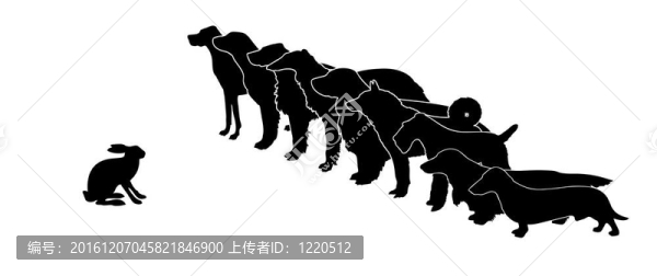 剪影狩獵狗和白色背景的兔子