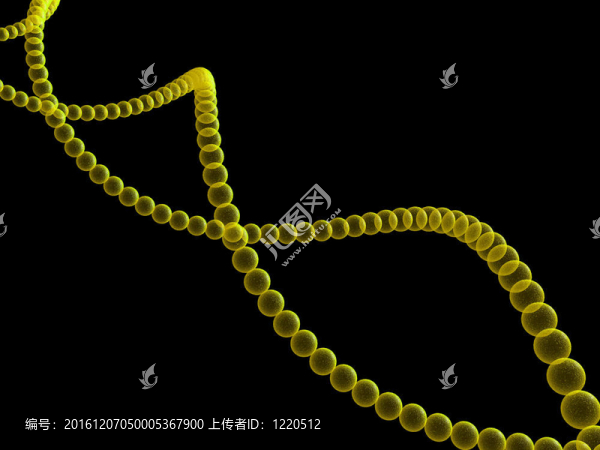 基因在DNA