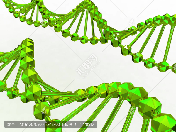 基因在DNA