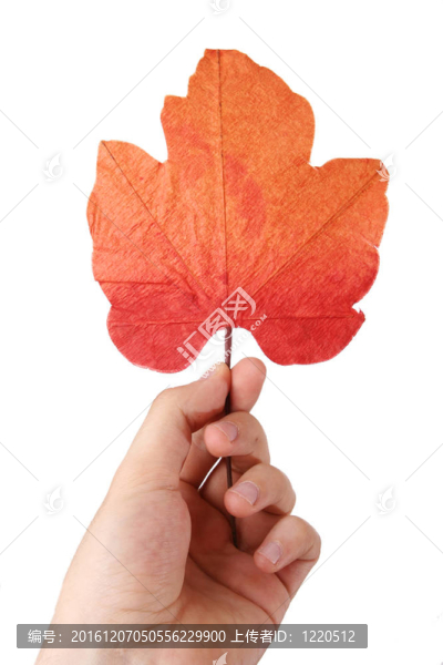 手上的葉子。