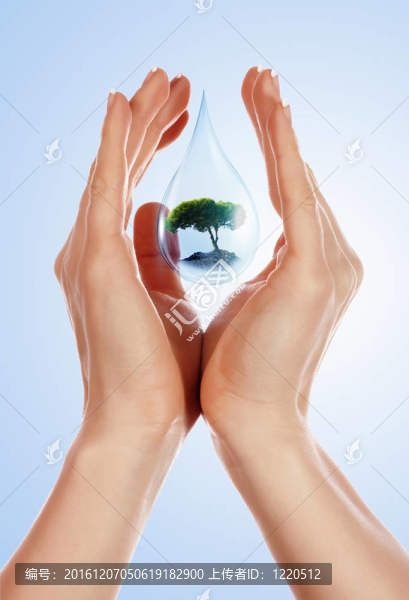 大滴水