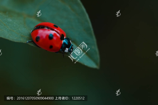 邊緣生活