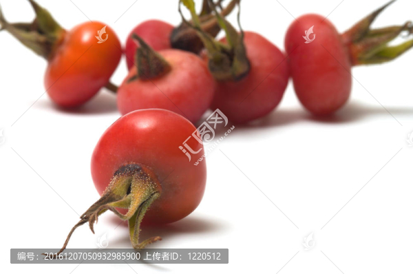 Dogrose,berry。