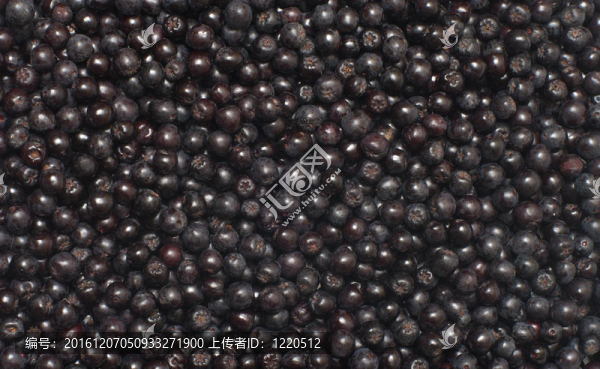 Chokeberry。