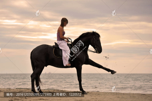 海灘上的女孩和馬