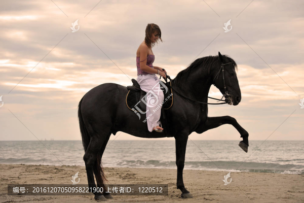 海灘上的女孩和馬