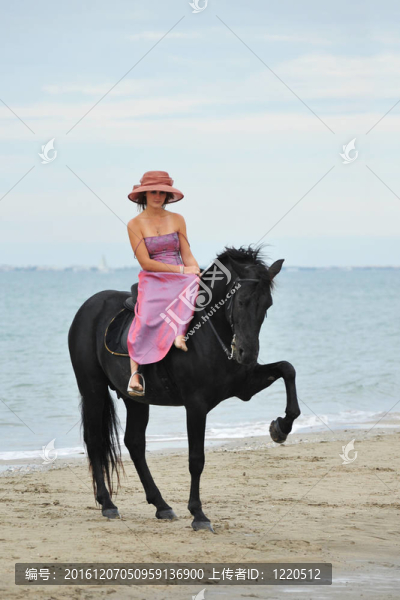 海灘上的女孩和馬
