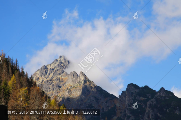 間接Ridge