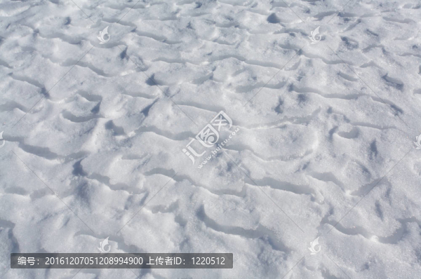 冰凍湖面上的積雪