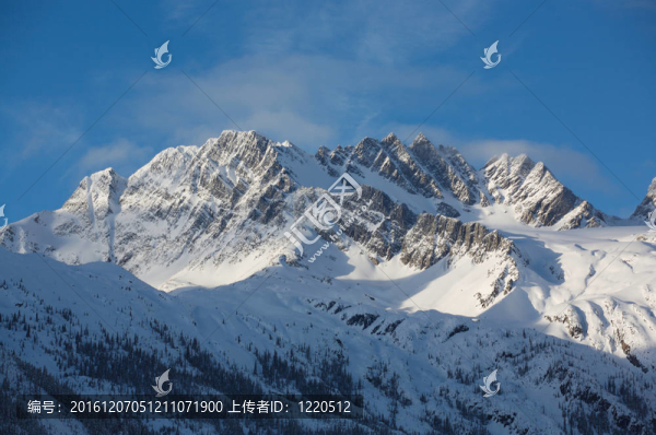 冬山