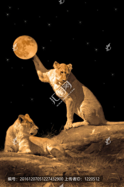母獅