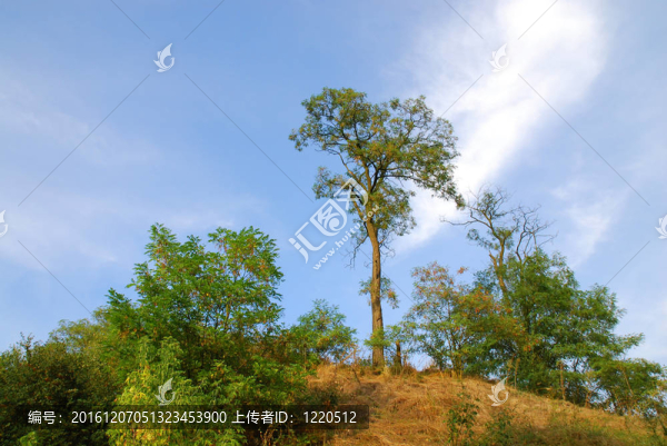 春天的風(fēng)景