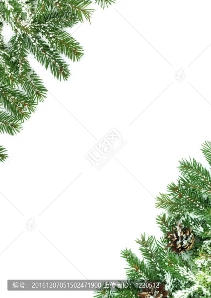白色背景隔離雪的圣誕框架