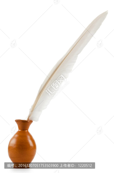 寫在白色背景上的羽毛