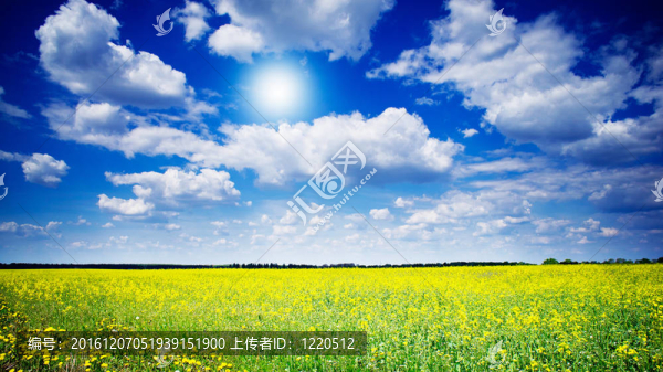 充滿活力的rapefield和Cloudscape。