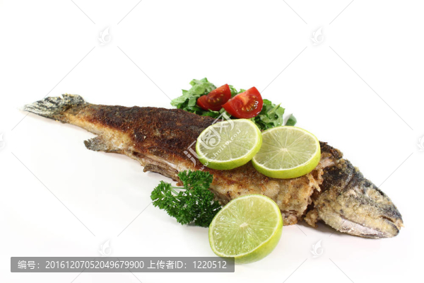 鱒魚米勒