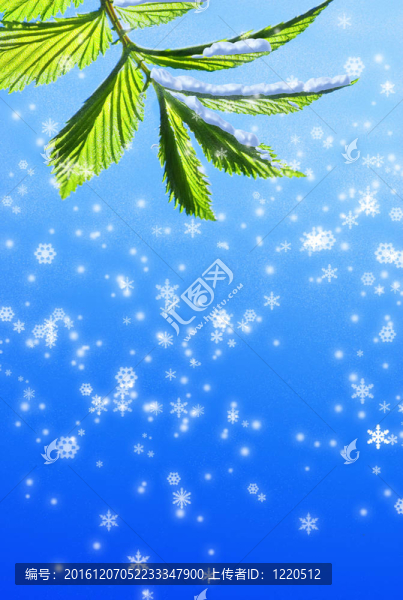 抽象雪花背景下的綠葉