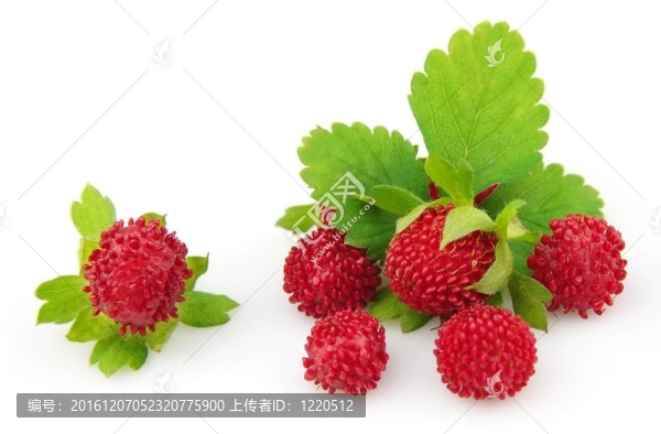 木野草莓