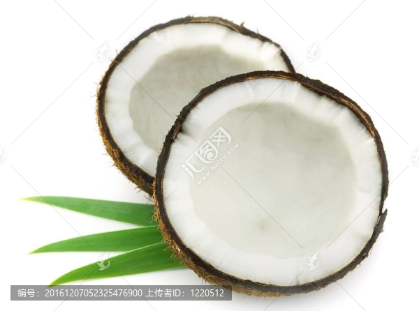 椰子樹葉
