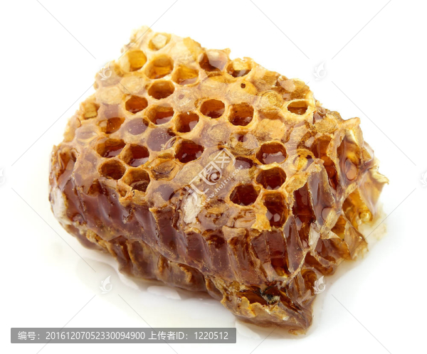 蜂窩特寫