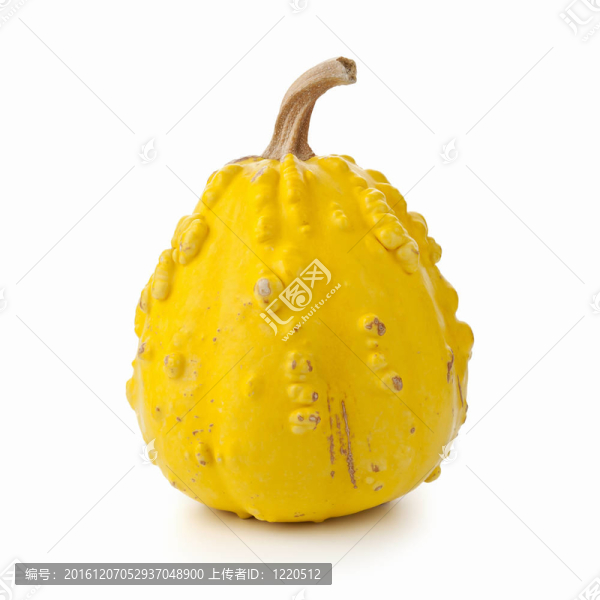 裝飾南瓜