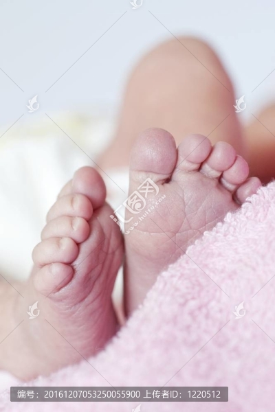 新生兒的小腳