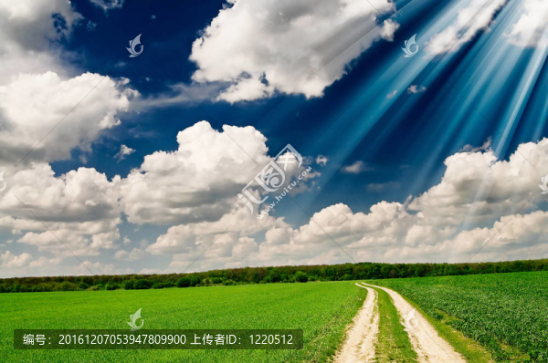 異常梁以上彈簧場(chǎng)。