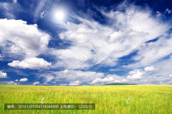 好燕麥田。