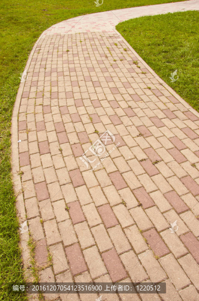 在公園里跟蹤