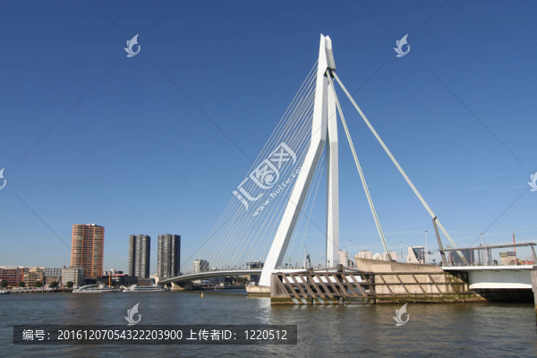 在鹿特丹erasmusbridge