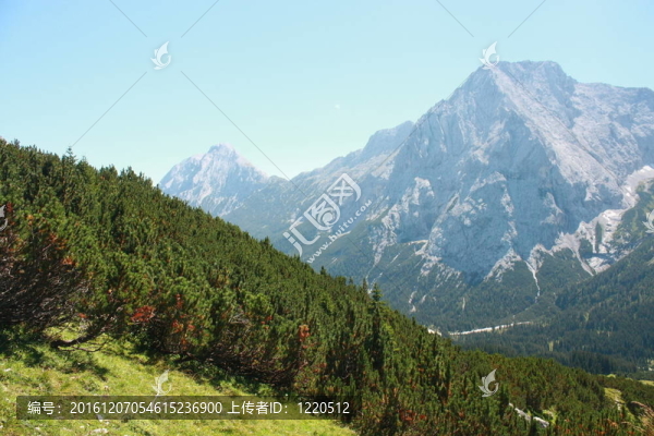 阿爾卑斯山脈