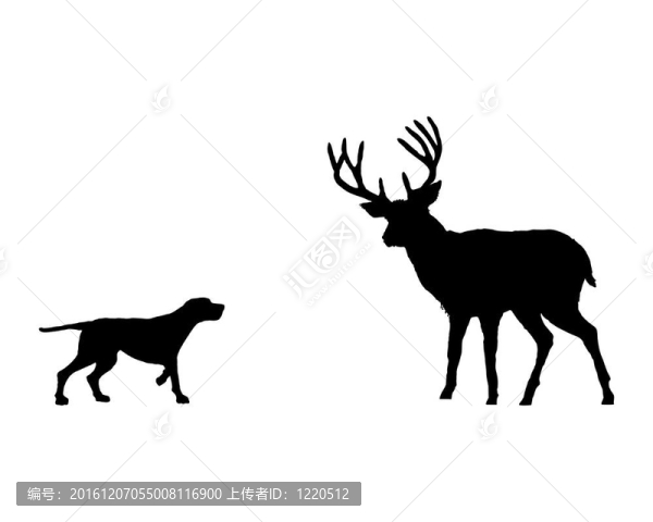 兩只動物；二傳和鹿面對面