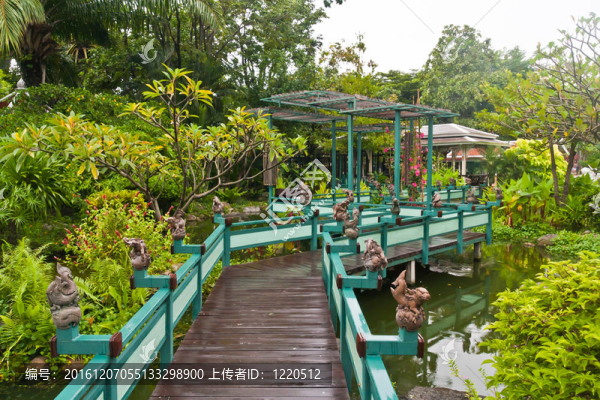 綠色公園木橋