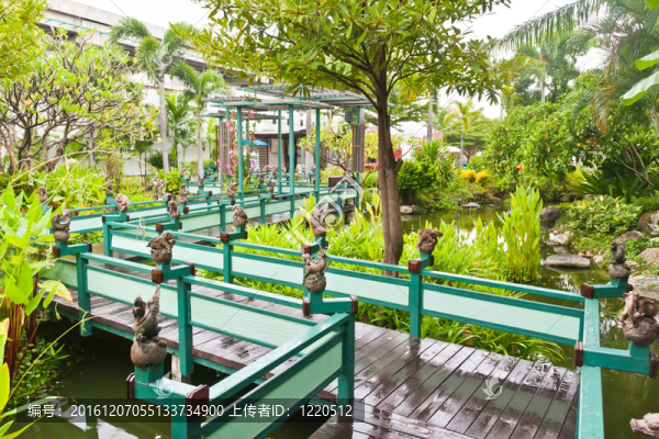 綠色公園中的木橋