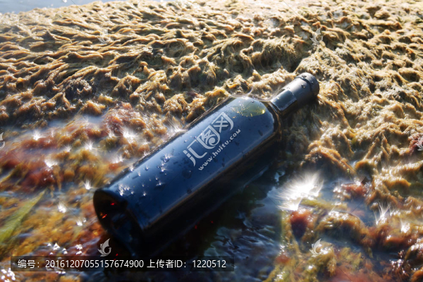 瓶中酒。