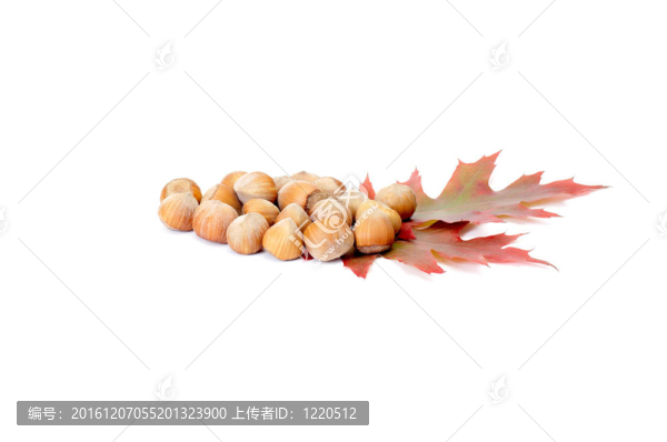 白色的秋葉和堅果。
