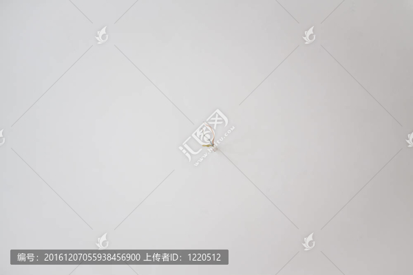 電纜在墻上