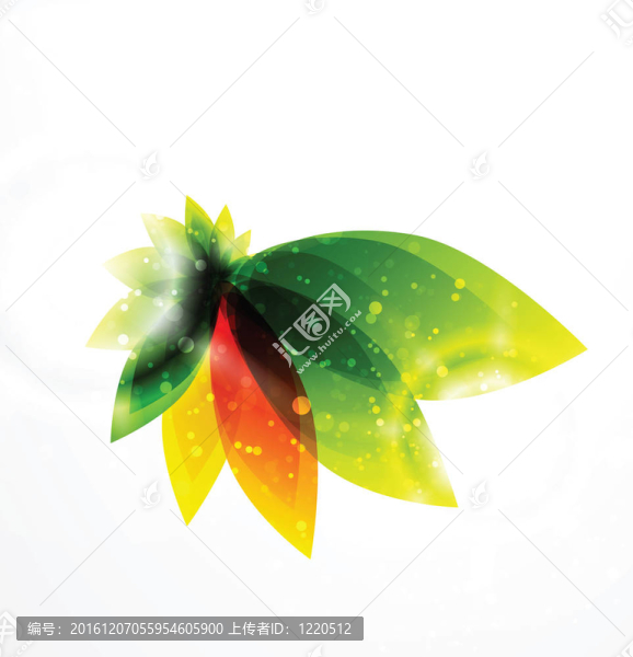 橙葉