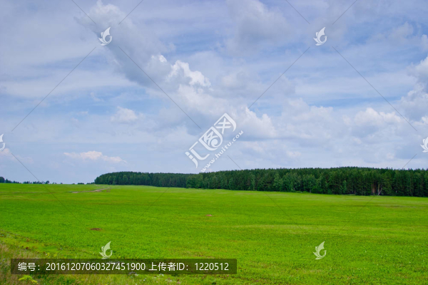 夏天的風(fēng)景