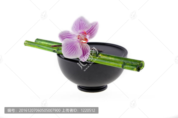 亞洲靜物蘭花