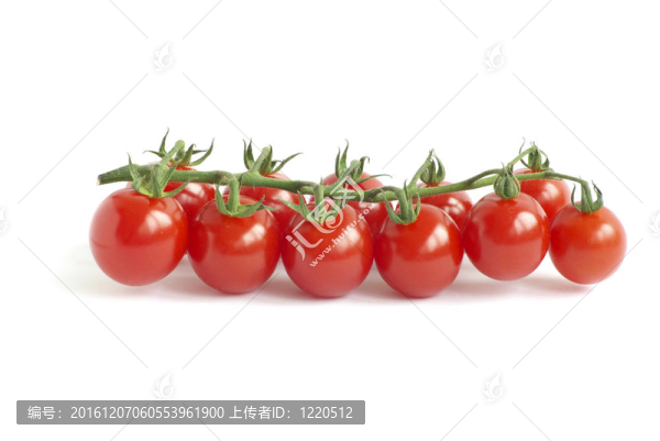 西紅柿