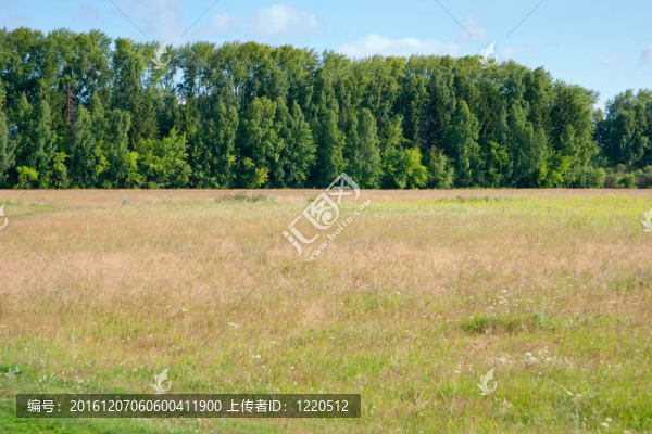 夏天的風(fēng)景
