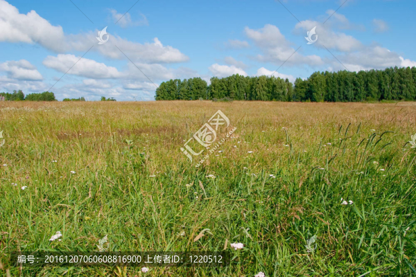 夏天的風(fēng)景