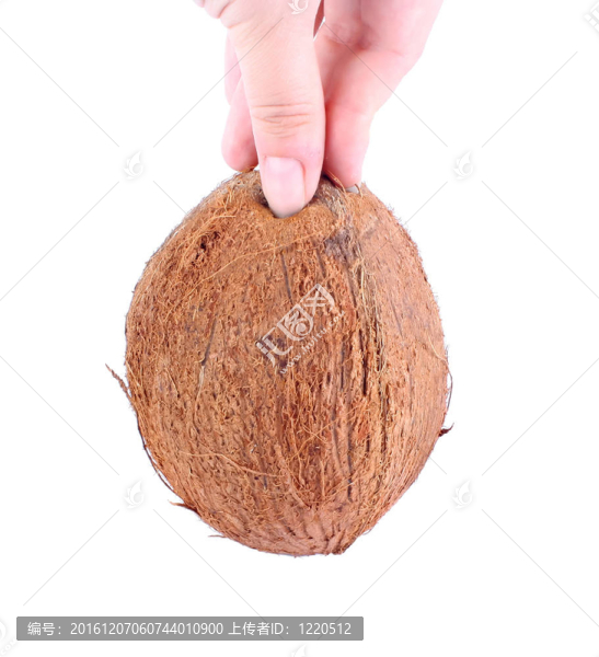椰子在手